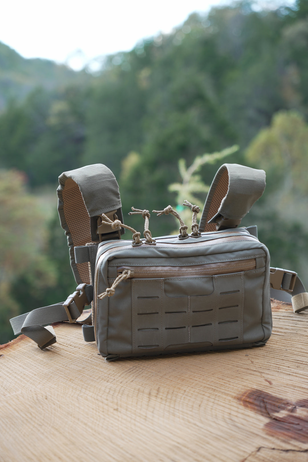 Pioneer Chest Rig